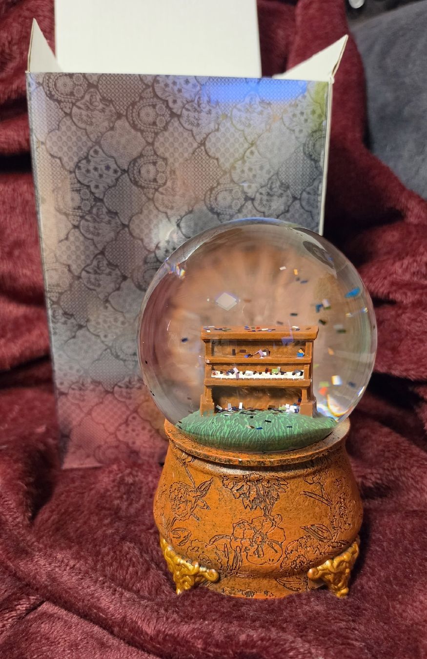 Toutes les décorations: Taylor Swift Erastour Snowglobe Neu  – Neuf avec emballage d'origine à Moosseedorf par MissSamtpfote