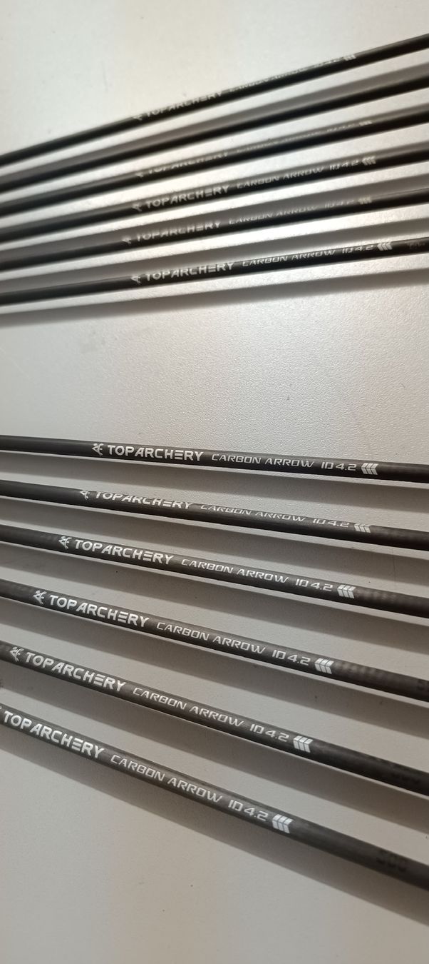 Tiro con l'arco: Carbon Pfeile – Usato da Rothrist venduto da Pfadfinder03 2
