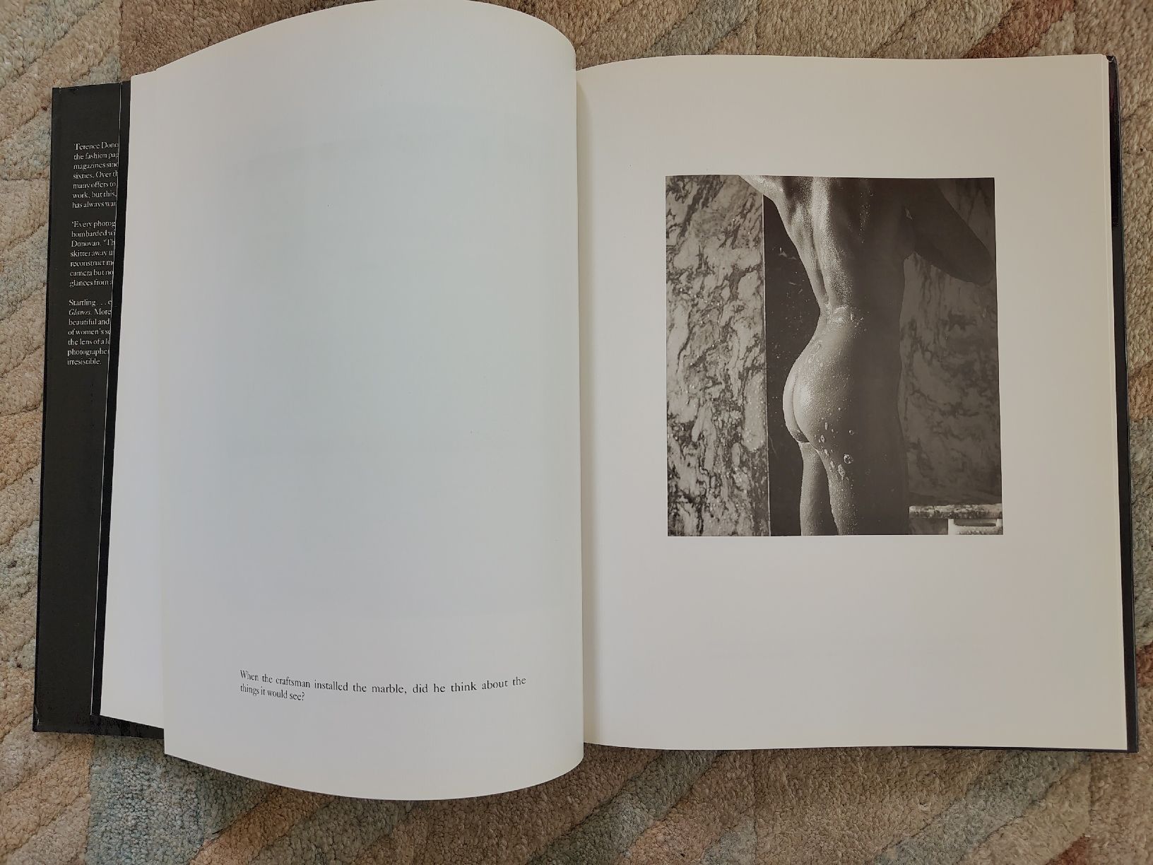 Libri: Terence Donovan - Glances - Aktfotographie – Usato da Zürich venduto da Almohammed 2