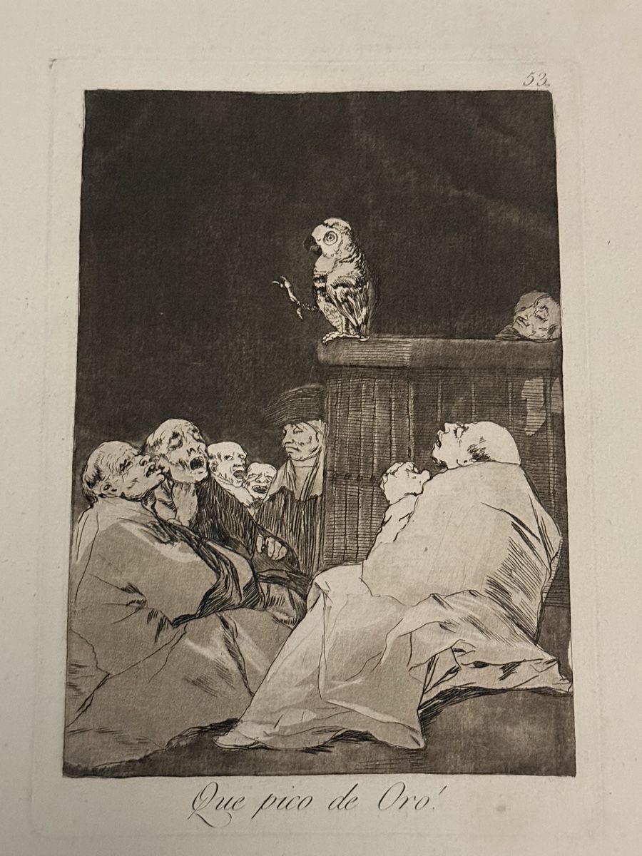 Foto & Immagini: Francisco Goya's "Que Pico de Oro" – Usato da Solothurn venduto da NUVICO 1