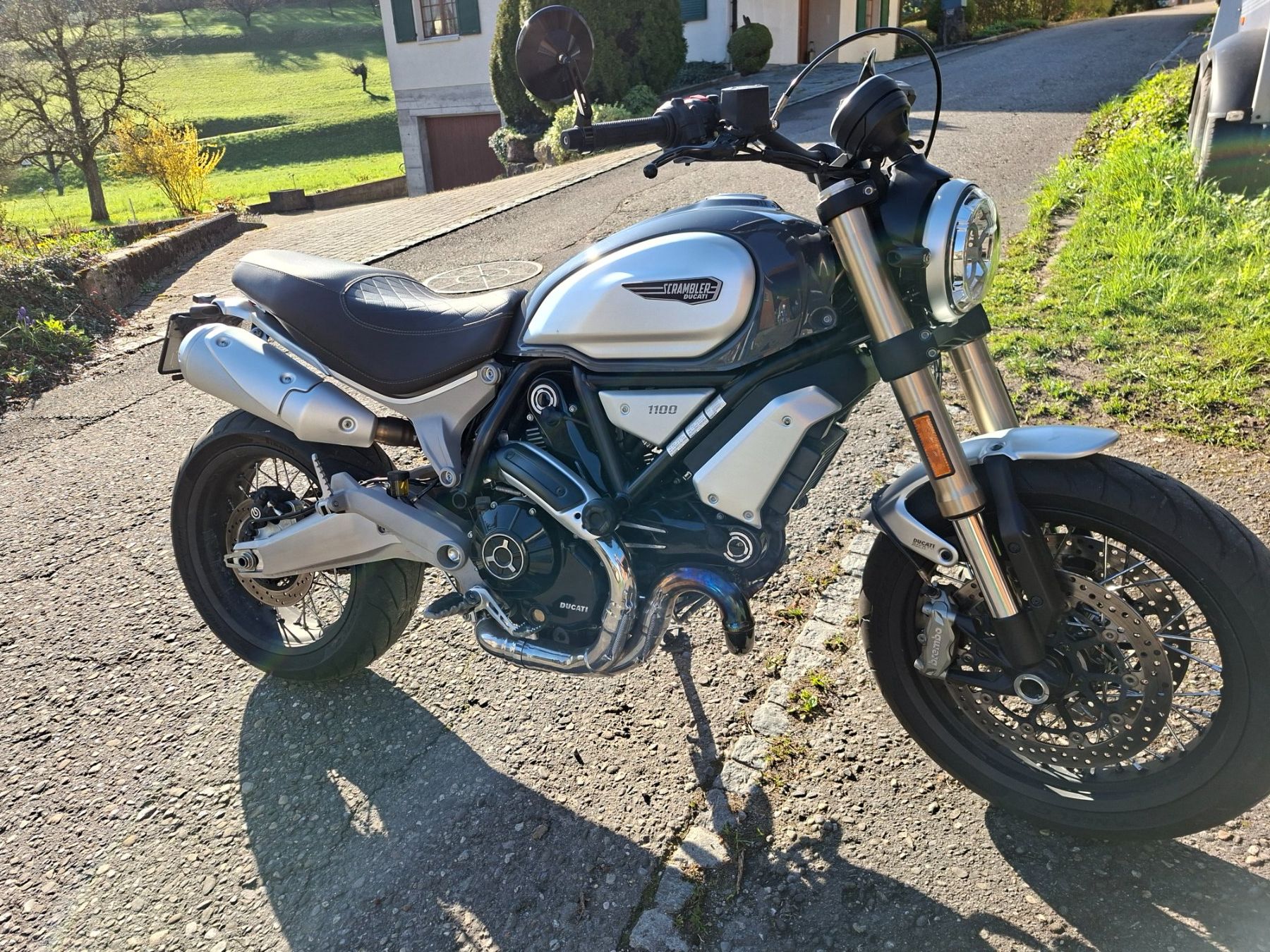 Strasse: Ducati Scrambler 1100 – Gebraucht aus Thalheim AG von peps01