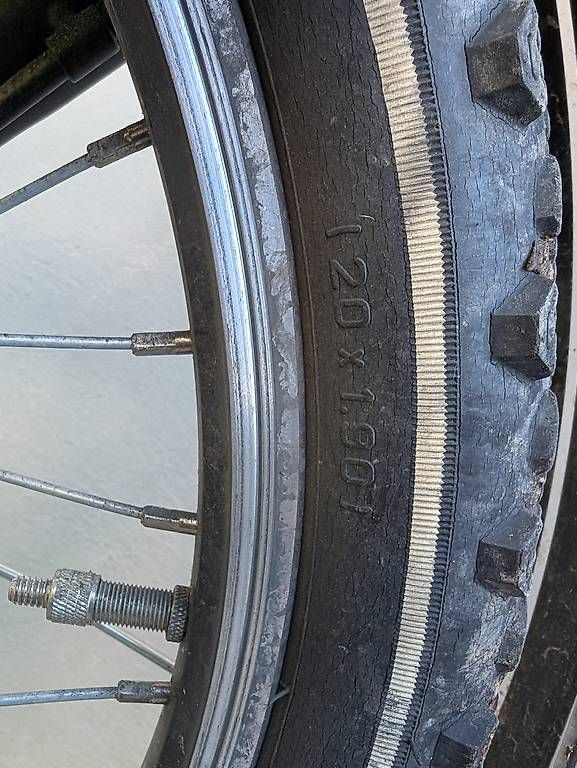 Biciclette: Kindervelo Pegasus – Usato da Schaffhausen venduto da Soldati_T 1