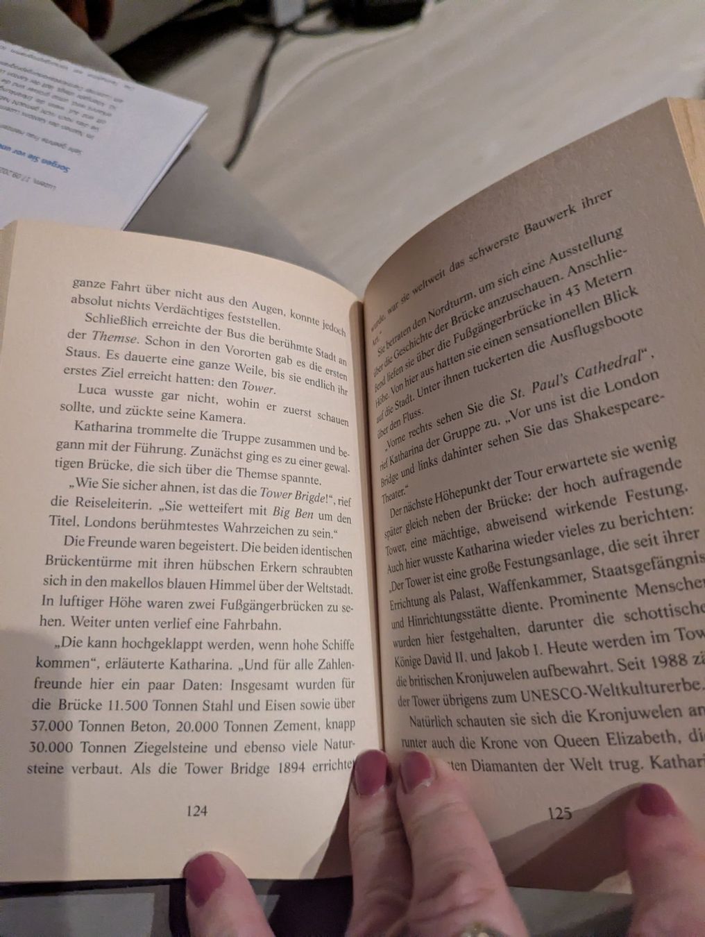 Libri: Die Schatzjäger - Im Bann der Blauen Steine – Nuovo e nell'imballaggio originale da Dierikon venduto da Jolie 2