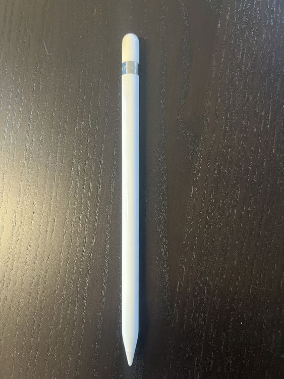 Apple Pen 1. Gen Kaufen auf Ricardo
