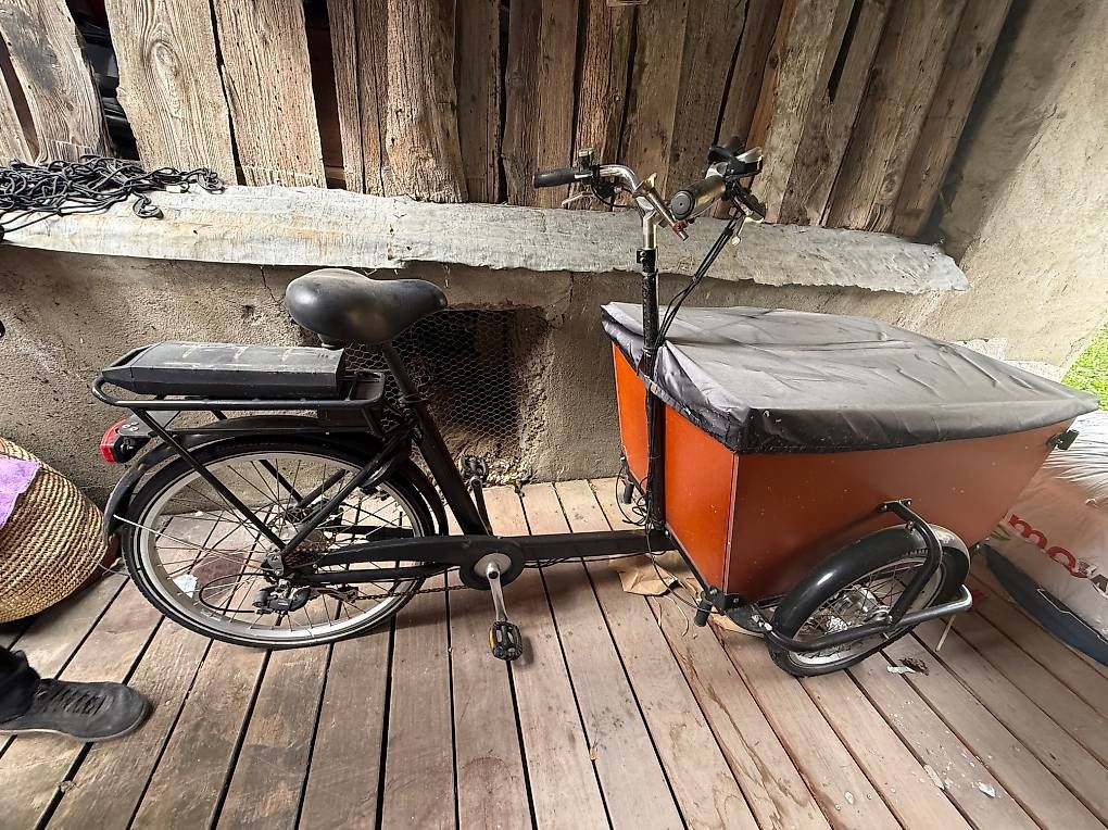 Vélos: Baboe velo électrique  – Défectueux à Les Posses-sur-Bex par ali_5kpt 1