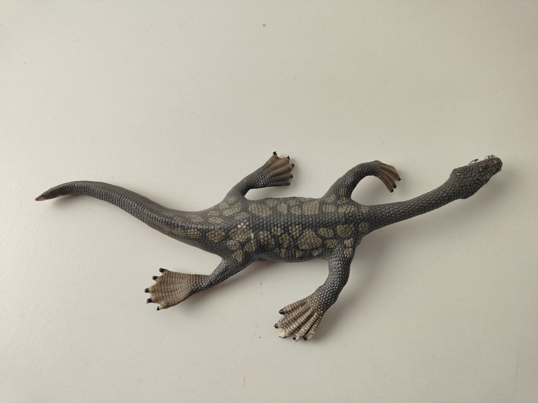 Schleich Statuette: Schleich Nothosaurus Dinosaurier Dino – Usato da Thalwil venduto da FigurenFreunde 2