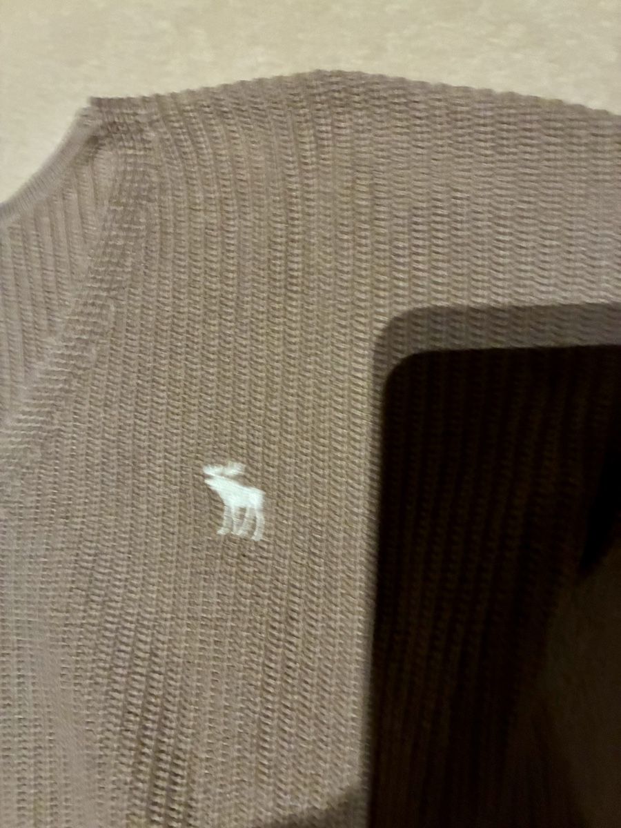 Abercrombie Maglioni & Felpe: Abercrombie & Fitch Pullover – Usato da Schaan venduto da RicX-10 1