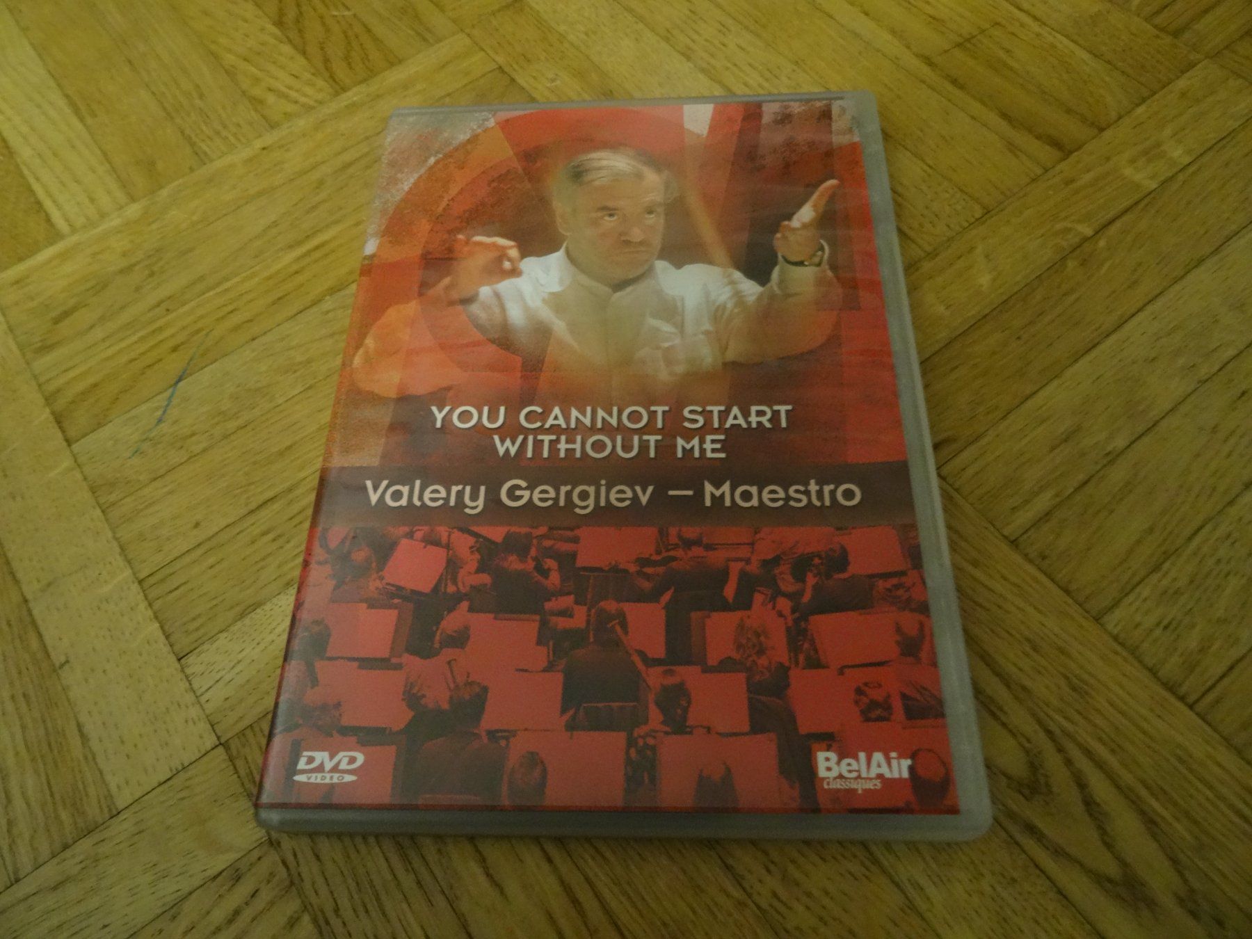 Tutti i DVDs: You Cannot Start without me - Valery Gergiev - Maestro DVD – Usato da Olten venduto da Disc-Ausverkauf