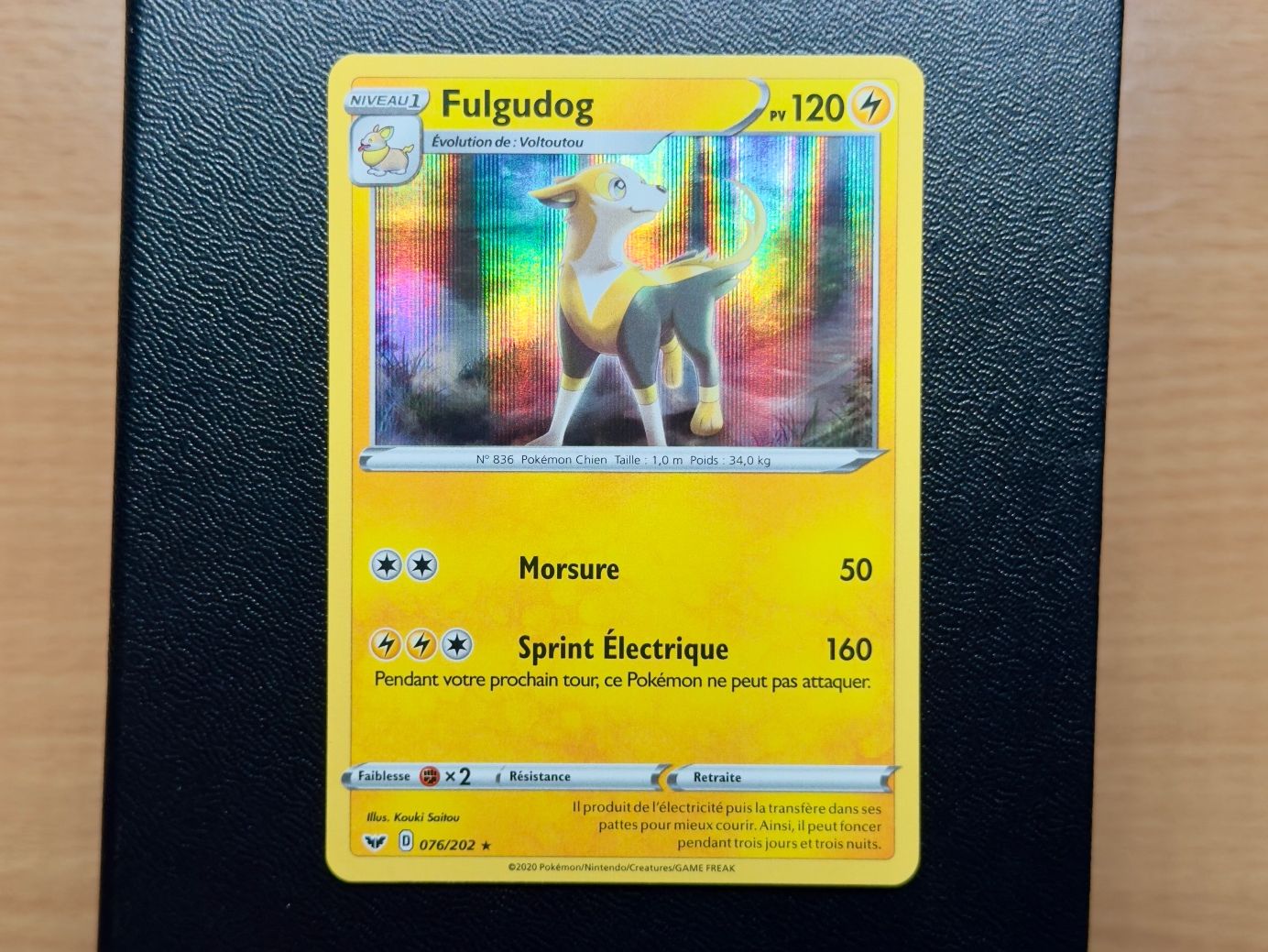 Pokémon Sammelbilder & Trading cards: Fulgudog HOLO (076/202) - Épée et bouclier - SSH FR – Gebraucht aus Chézard-St-Martin von Kro_Cards
