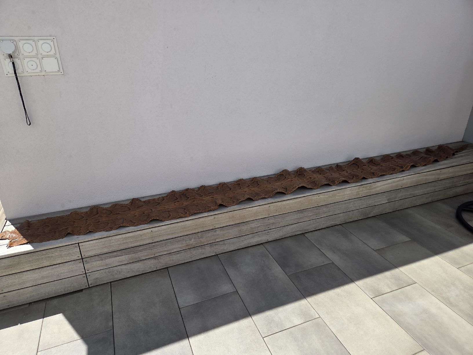 Tessuti: Schlangenhaut Python braun gemustert ca. 450 cm – Nuovo (secondo la descrizione) da Kreuzlingen venduto da gogi3 6