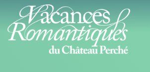 Biglietti: Festival Château Perché - Session A - Pass 5J – Usato da Nax venduto da Glead