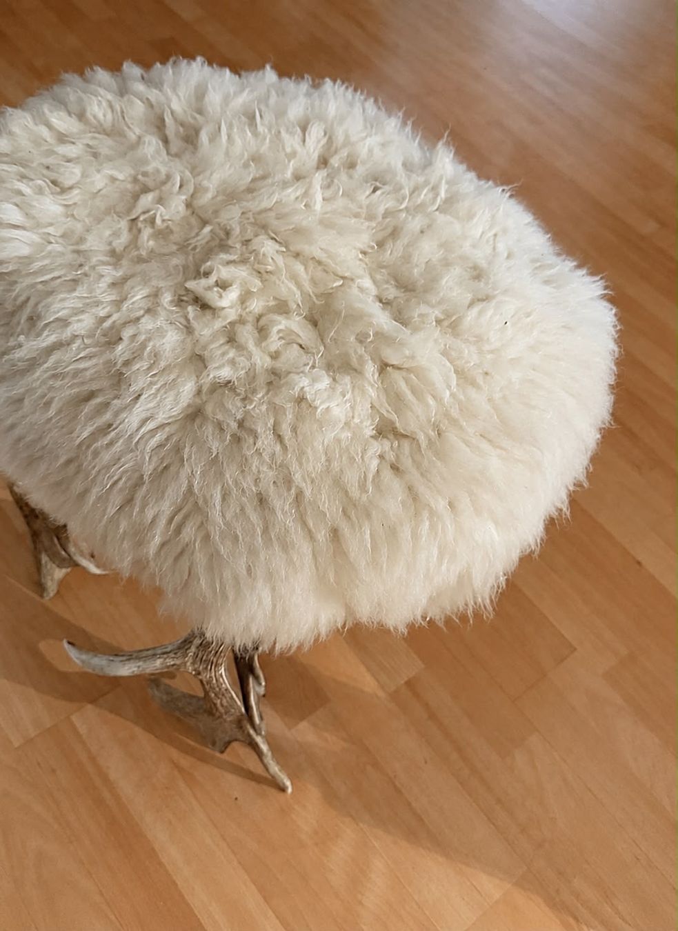 Hocker: Original Geweih-Hocker mit Fell – älteres Einzelstuck – Gebraucht aus Uetikon am See von phi_8pxk 2