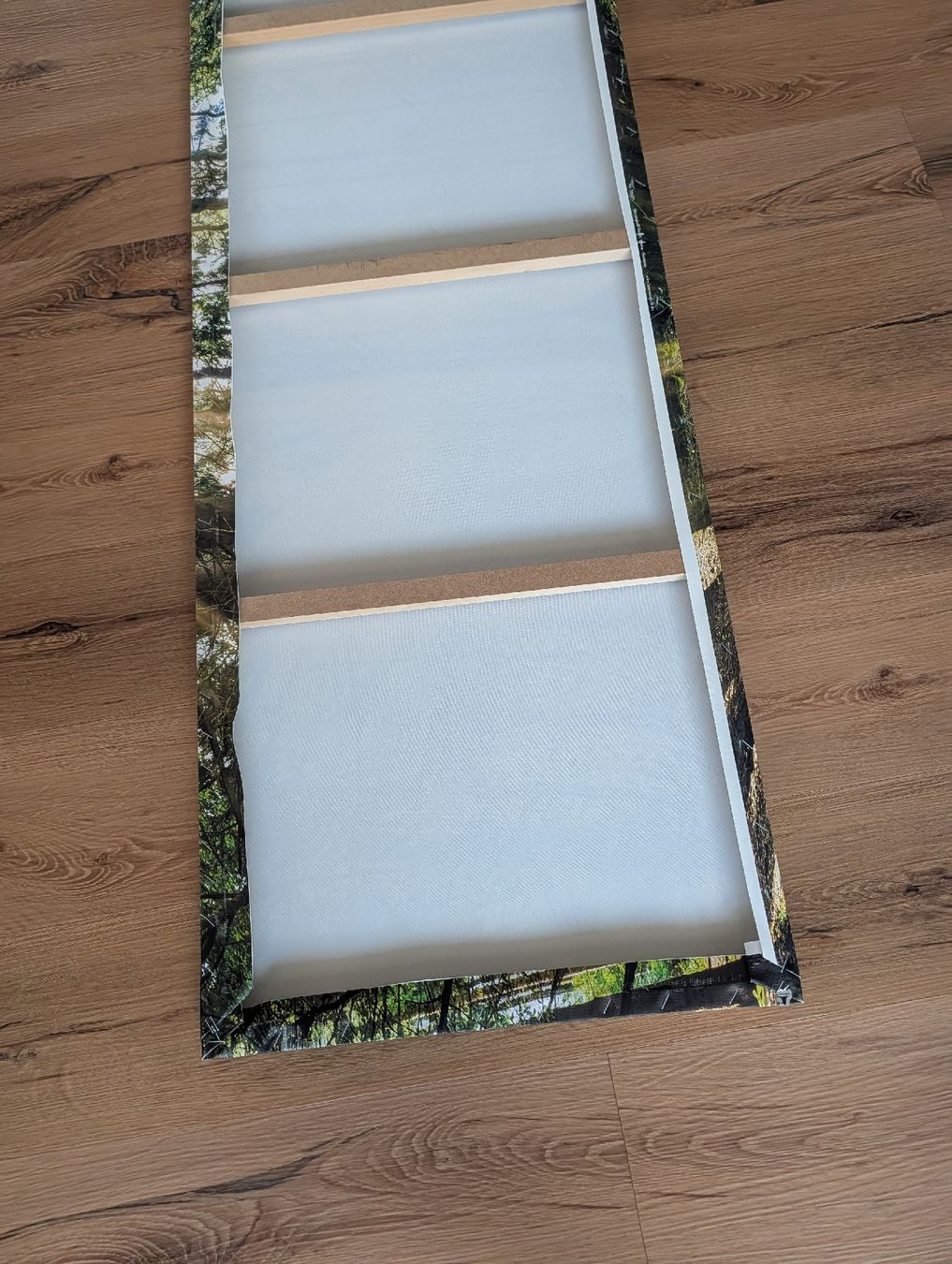 Foto & Immagini: Wandbild Wald mit Sonnenstrahlen – Usato da Glis venduto da chr_p9w5 2