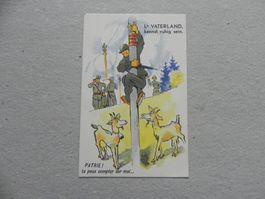 CH Humor Motiv Karte Miltär Rueblikarte Bären Katzen Ziege.