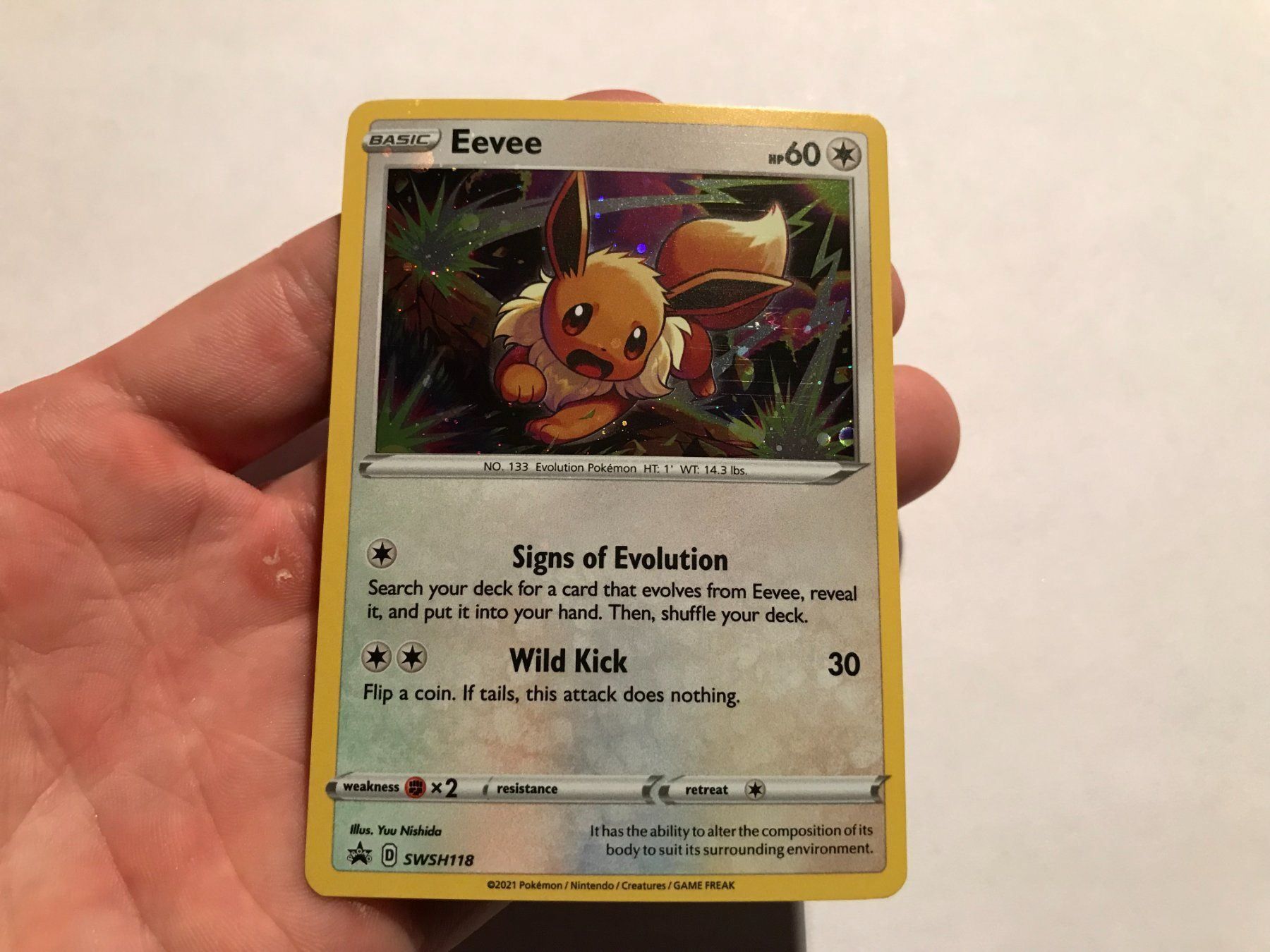 Pokémon Carte collezionabili: Eevee holo Promo holo bleed – Nuovo (secondo la descrizione) da Hagendorn venduto da Pokecollectorch 3