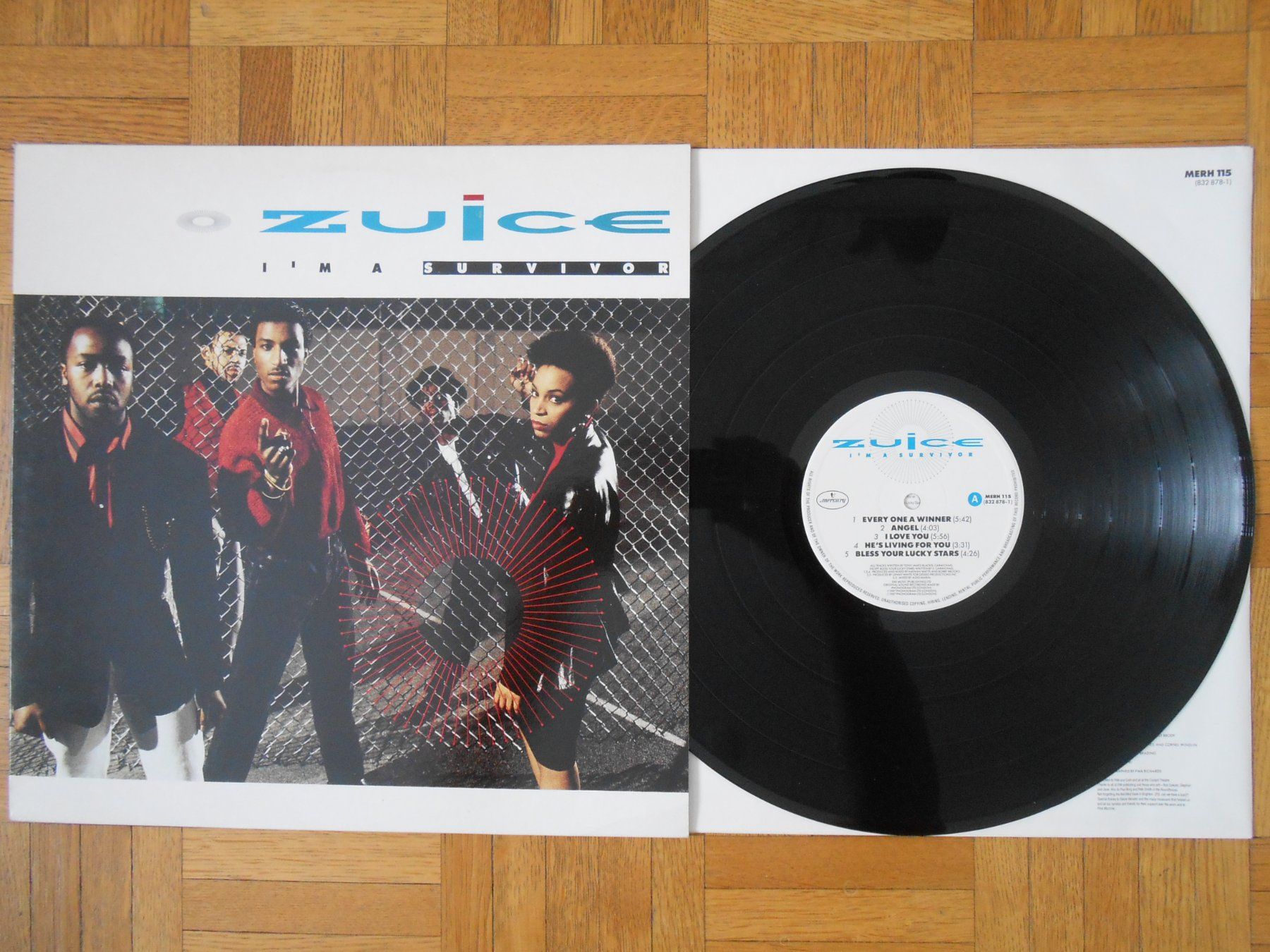 Dischi in vinile: Zuice 1987 I'm a survivor (LP) – Usato da Territet venduto da Yvanz