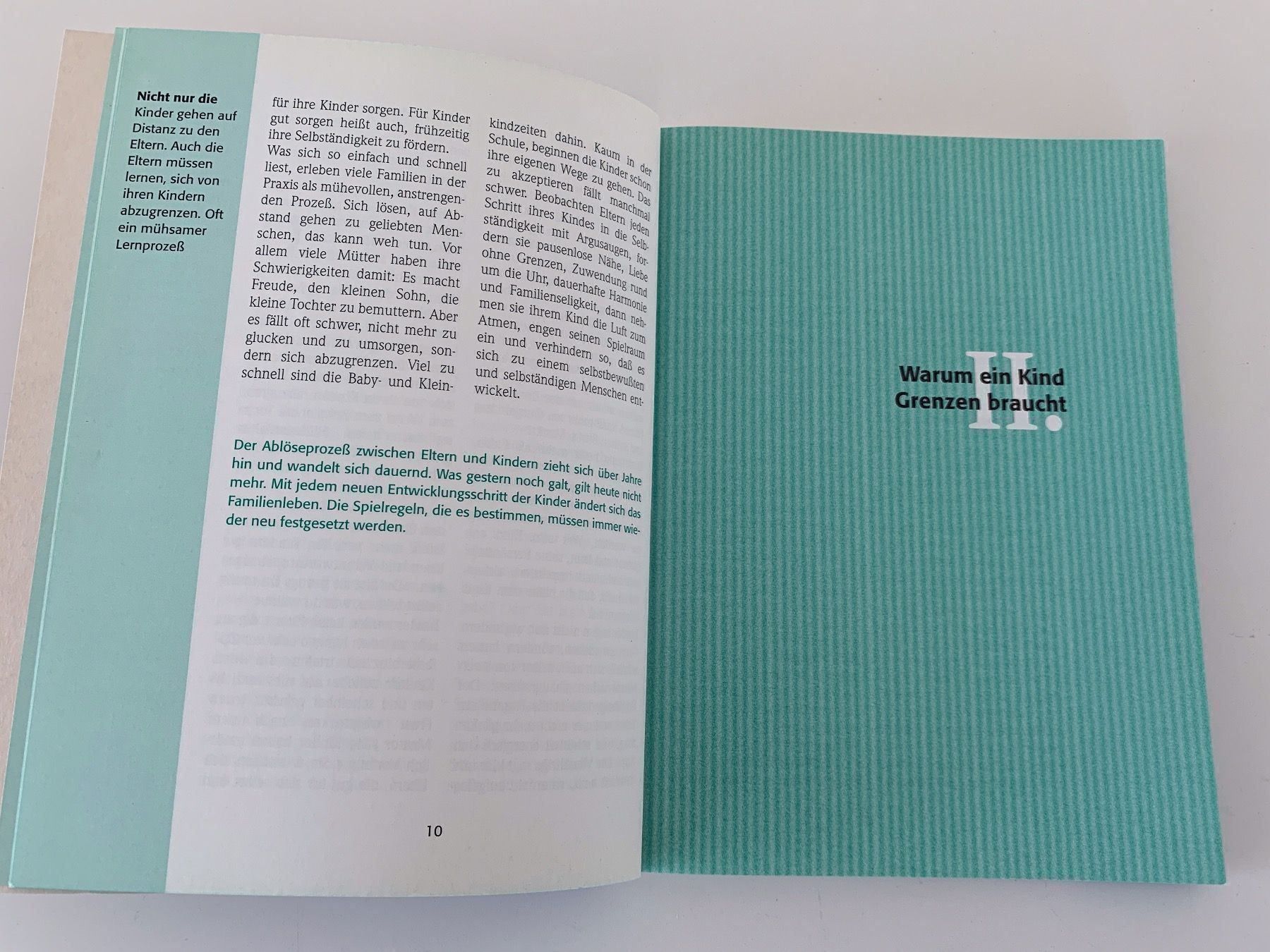 Libri: Kindern Grenzen setzen – Usato da Bottmingen venduto da marktplatz-buecher 3
