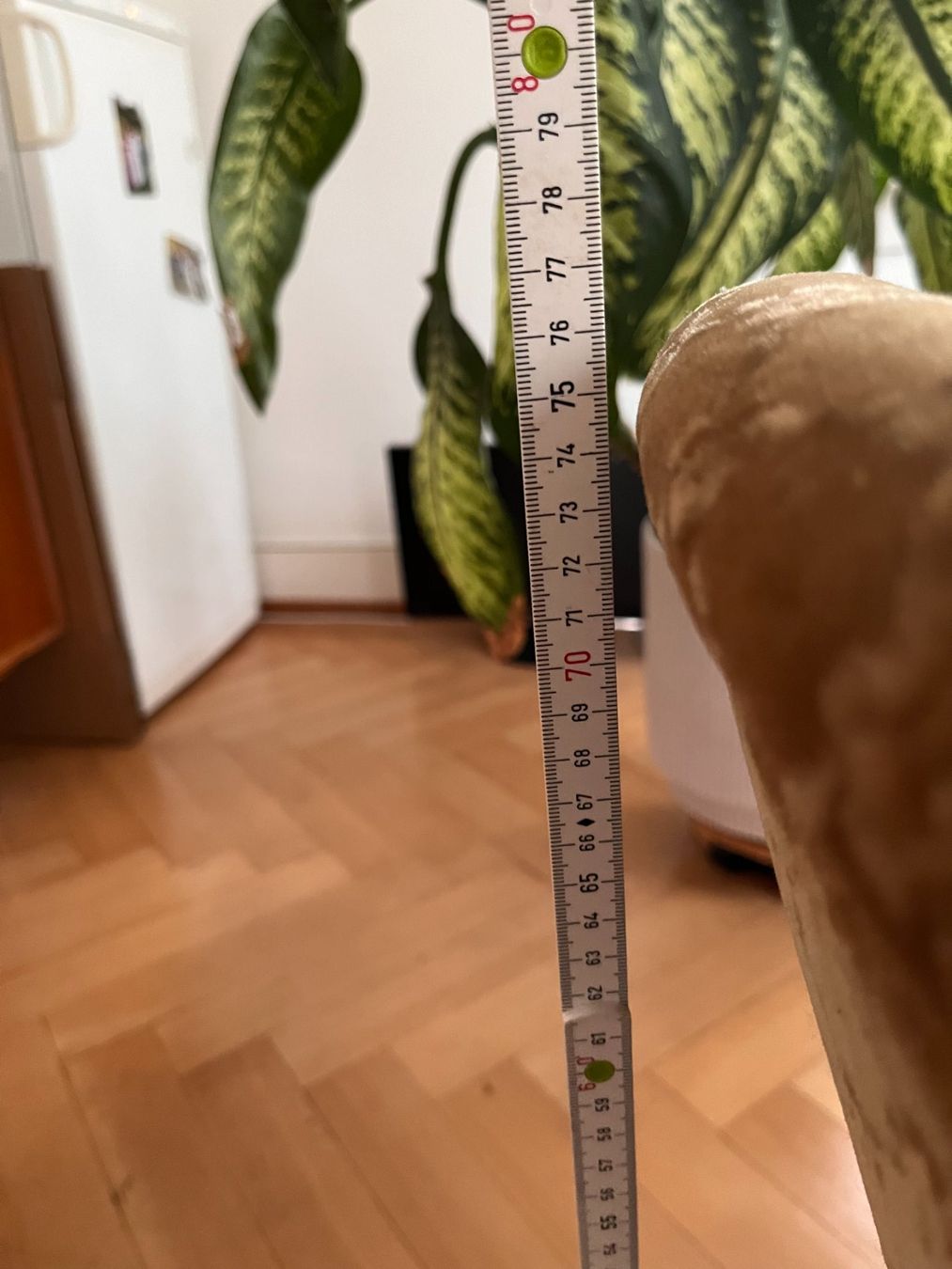 Poltrone: Zwei antike Sessel, Barock Stil – Usato da Zürich venduto da miketreeman 5