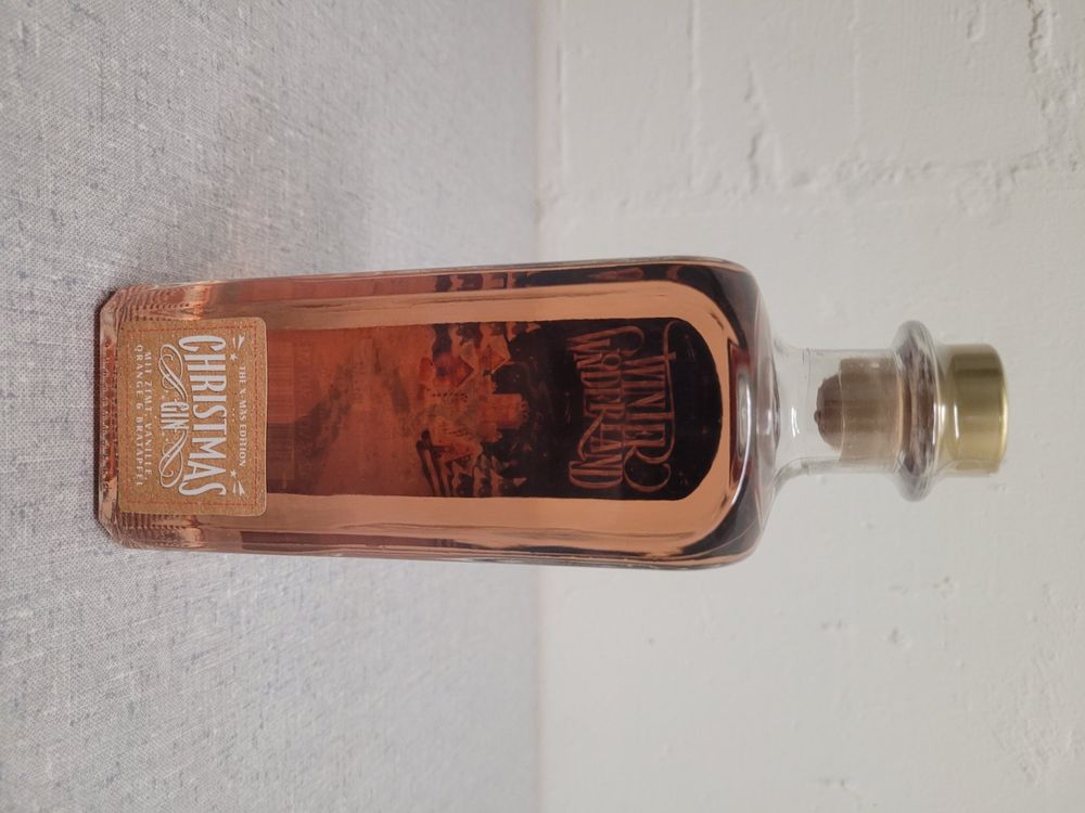 RICARDO GIN S BIELSA visual data 8