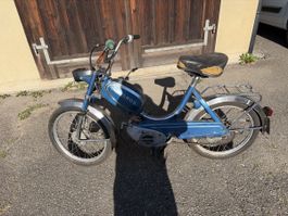 Sachs 503 HG cosmos