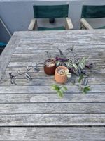 Tradescantia Duo
