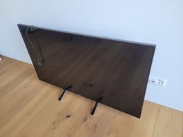 Fernseher von Sony Bravia 55 Zoll