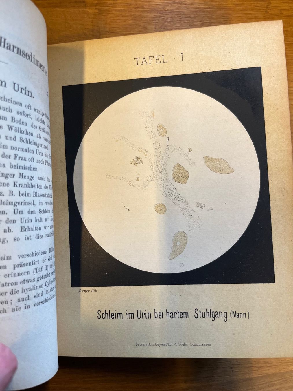 Libri: Die Microscopie am Krankenbette 1884 – Usato da Laufen venduto da Nuria44 3