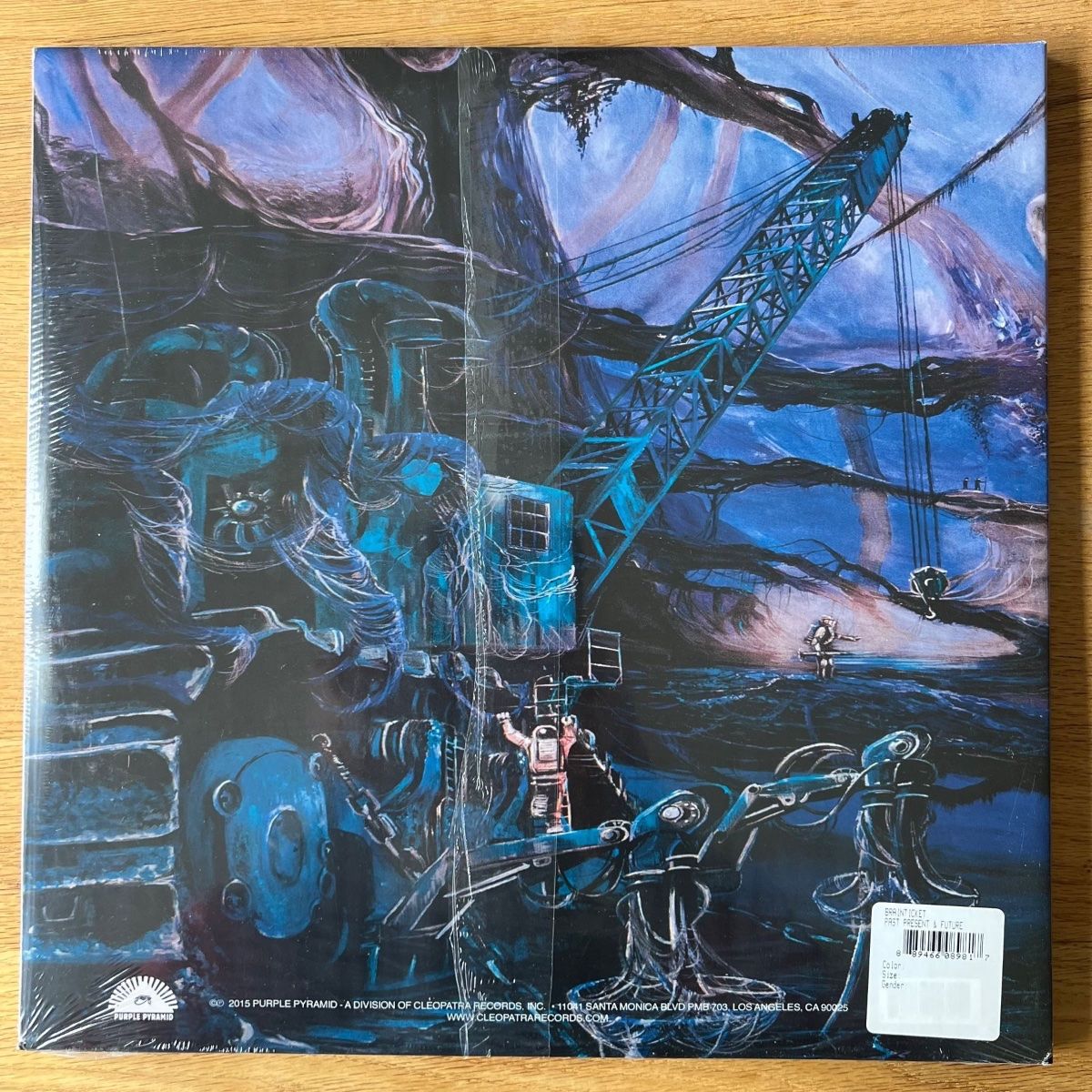 Dischi in vinile: Brainticket - Past, Present & Future / 2 LP - 1. US 2015 NEW – Usato da Gais venduto da soundcave57 2