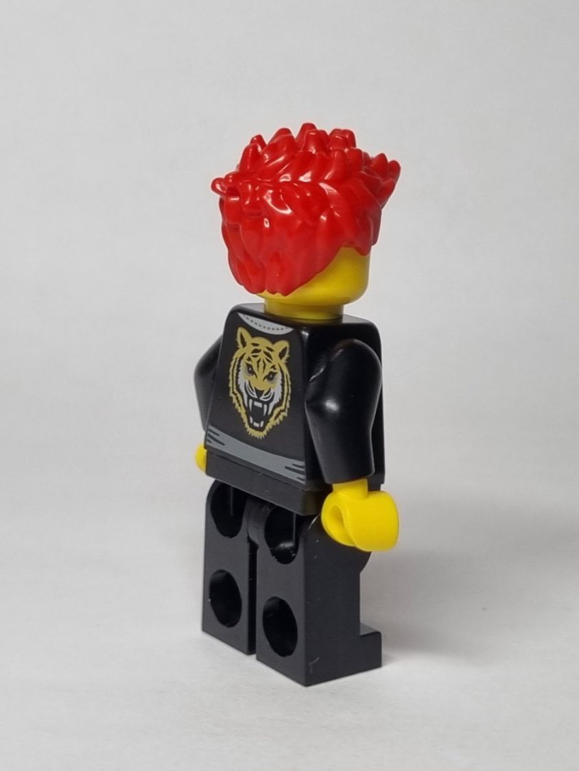 Lego Kit di costruzioni: LEGO BAM Easter 2025 Ninja with black tiger robe – Nuovo (secondo la descrizione) da Basadingen venduto da NekoBricks 5