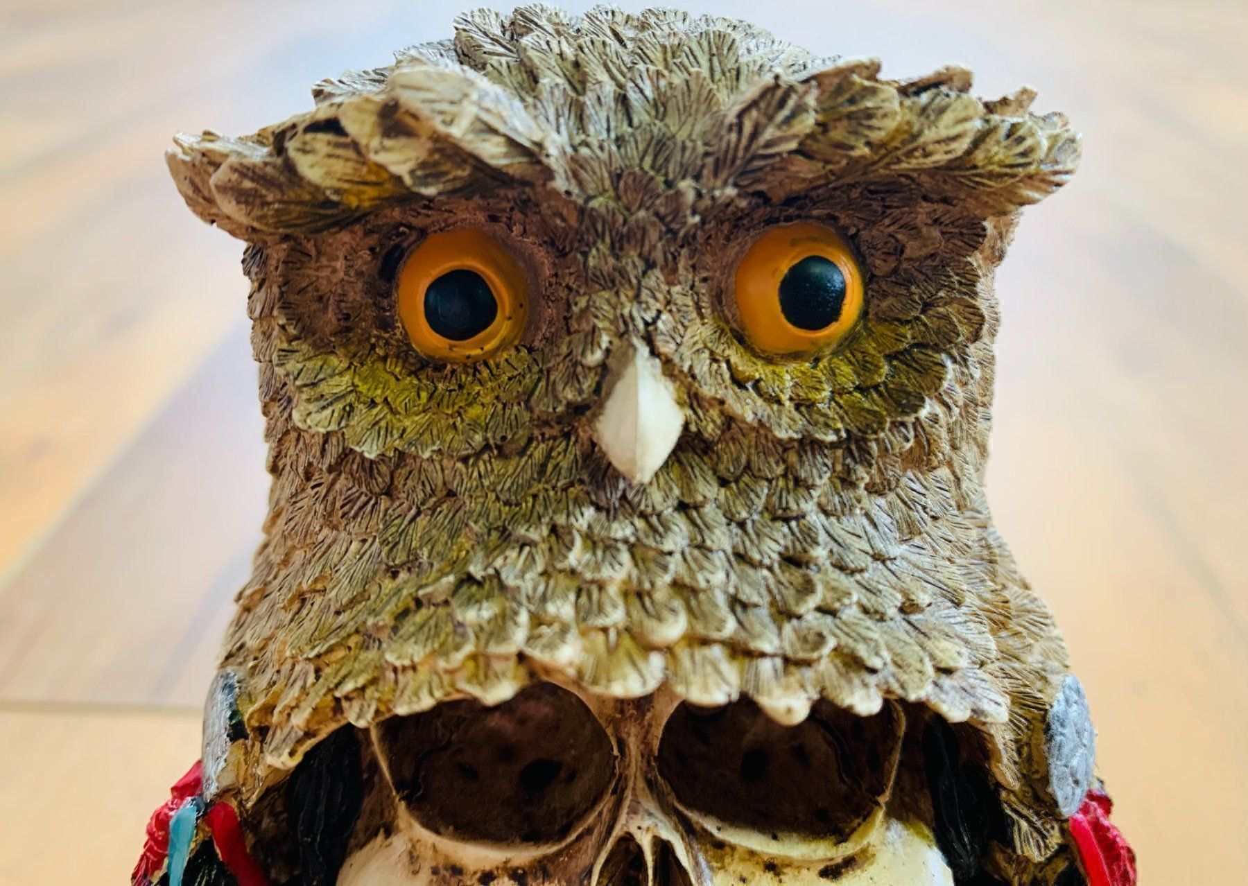 Sculture & Statue: Totenschädel Schädel SKULL Eule 15cm NEU – Nuovo e nell'imballaggio originale da Bergdietikon venduto da shopAgent 2