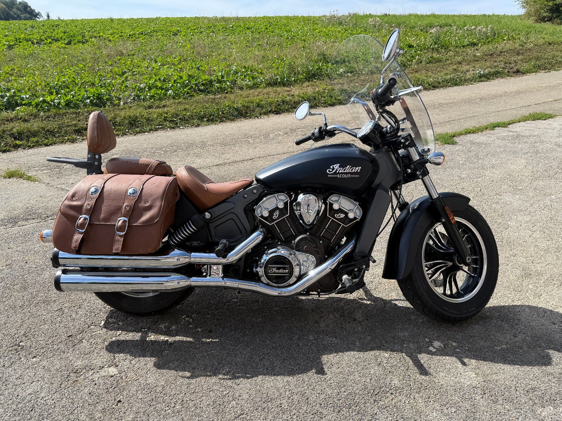 Indian Motorcycle Chopper: Indian Scout ABS noire mat – Usato da BURE venduto da guelatro