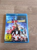 The Big Bang Theorie Staffel 5
