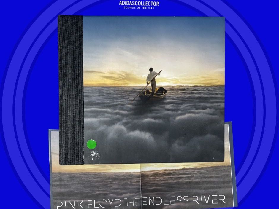 CD: Pink Floyd - The Endless River – Usato da Muri b. Bern venduto da AdidasCollector