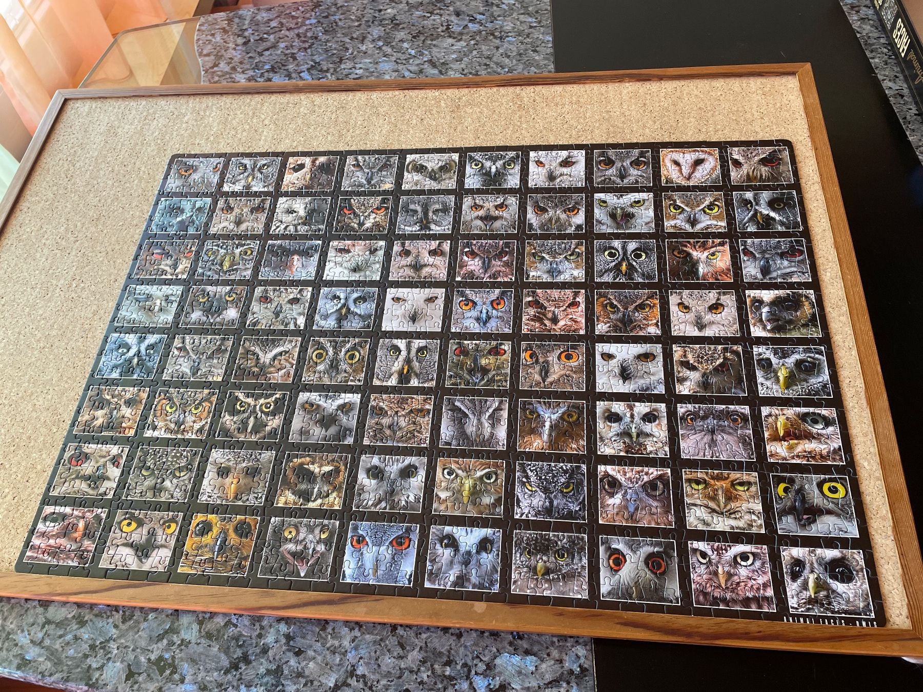 Puzzles: Puzzle Faces EULEN  1000 Teile – D'occasion à buch am irchel par Hildoceras 1