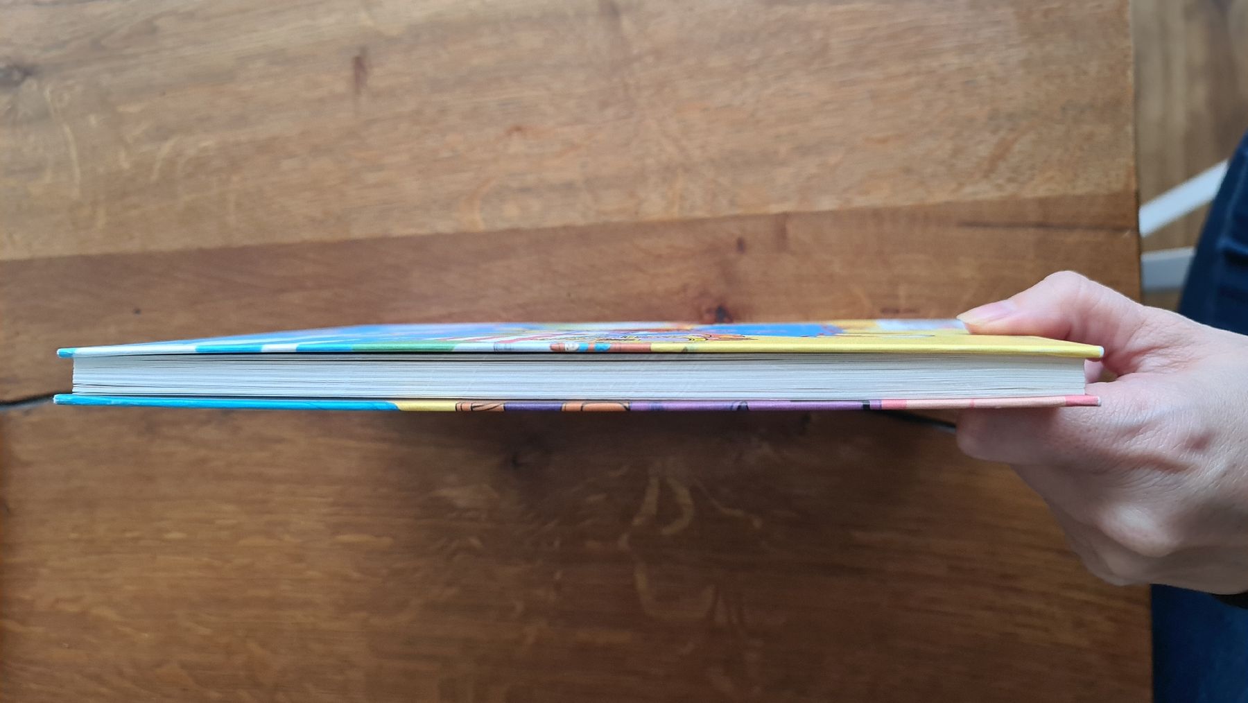 Livres: wie globi ritter wurde 2 auflage buch – D'occasion à Wittenbach par Tigerlili 8