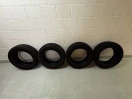 4× Semperit Speed-Grip 5 Winterreifen 205/60 R16 96H XL