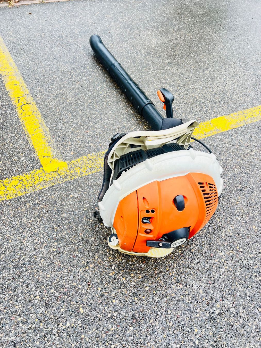 Stihl Soffiatori & Aspiratori per foglie: Laubblaser Stihl Br 600 – Usato da Urdorf venduto da Faz_19 2