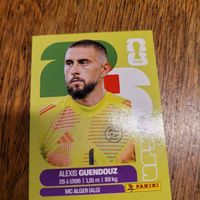 Panini 26 GUENDOUZ