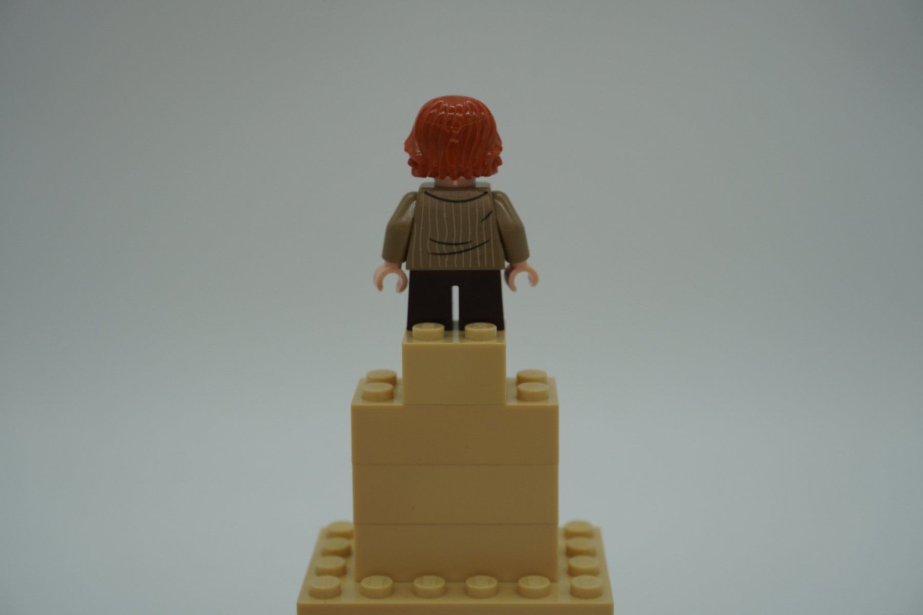 Lego Giocattoli: Lego Harry Potter Weasley Bundle – Usato da Zürich venduto da PWRgZ 2