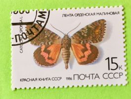 Briefmarken aus Sowjetunion gestempelt Siehe Original Fotos.