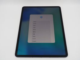 APPLE iPad Pro 12.9 2021 Cellular iCloud gesperrt (26061359)