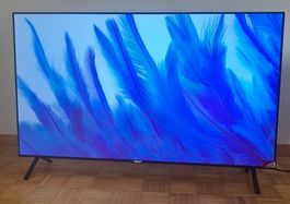 LG OLED 55A29LA - Top Zustand