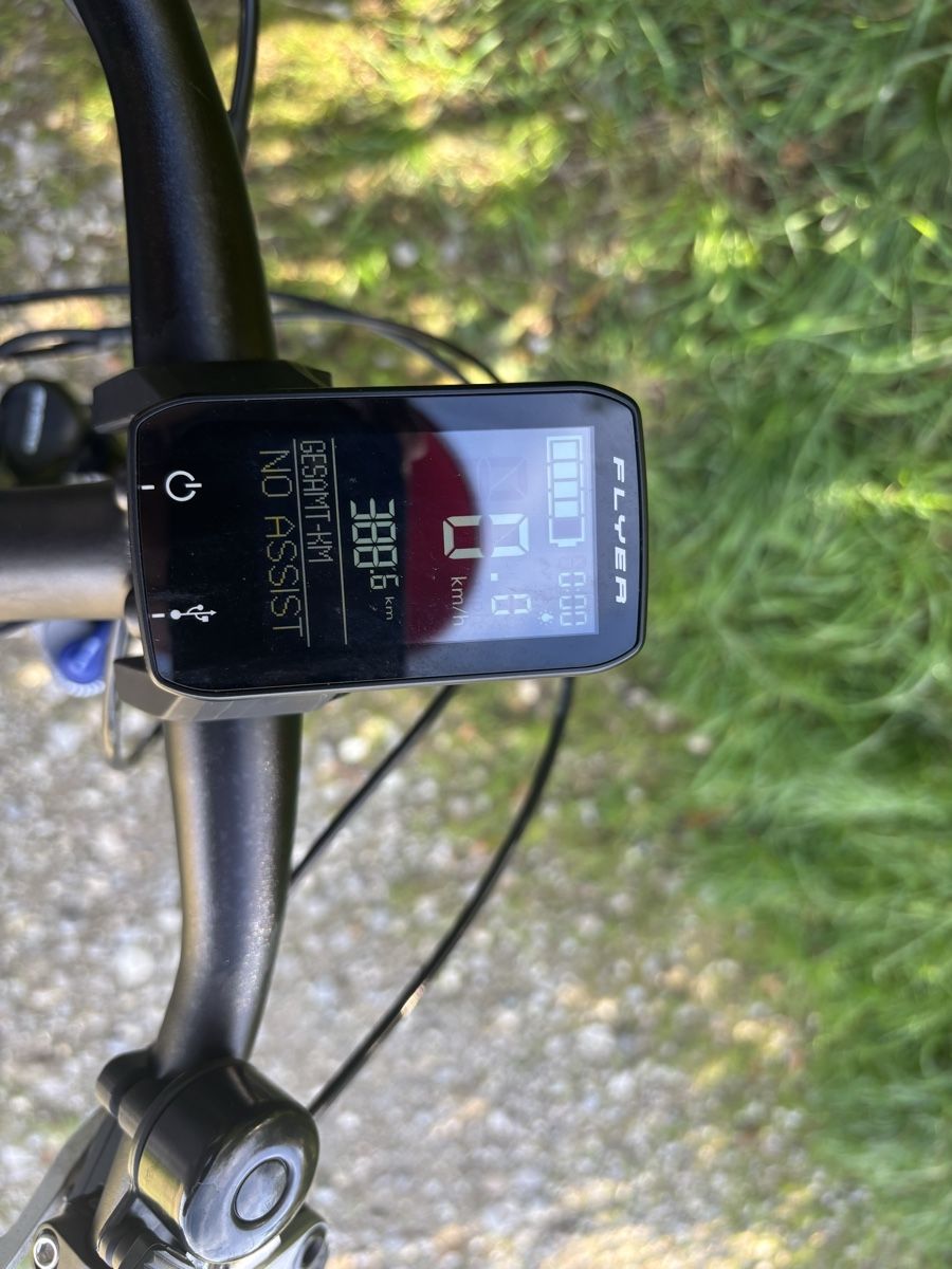 Flyer Biciclette: Flyer Sehr Wenig Gebraucht  – Usato da kleindietwil venduto da Mauzi2016 8