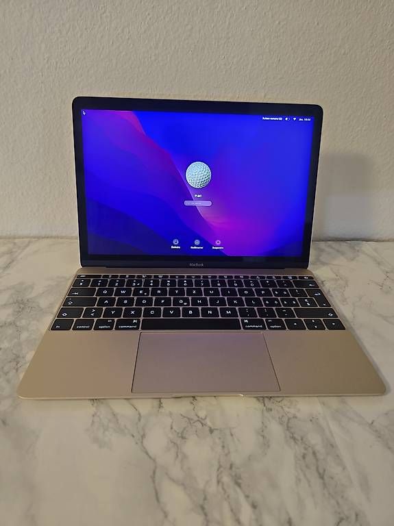 Apple Notebook: MacBook 12" année 2016 -m5 | 8Go RAM | SSD 500Go – Usato da Renens VD venduto da MTD2211 4