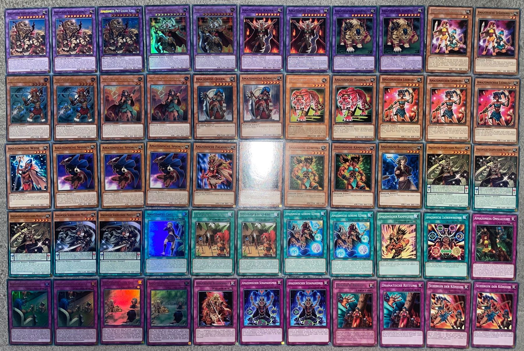 Yugioh Carte collezionabili: YuGiOh Amazonisch Deck – Nuovo (secondo la descrizione) da Altstätten SG venduto da ChangeMaker