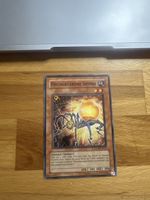 Sammelkarte "Preisgegebene Spinne" Yu-Gi-Oh guter Zustand