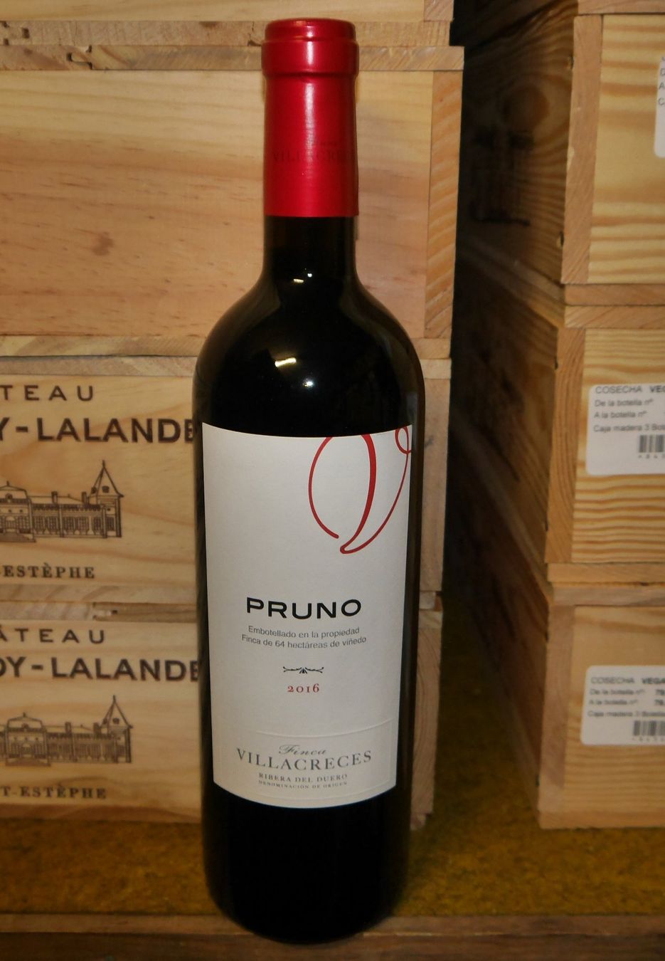 Wein: 10 Flaschen Pruno 2016 Ribera del Duero – Neu (gemäss Beschreibung) aus Riein von Trolleytroll