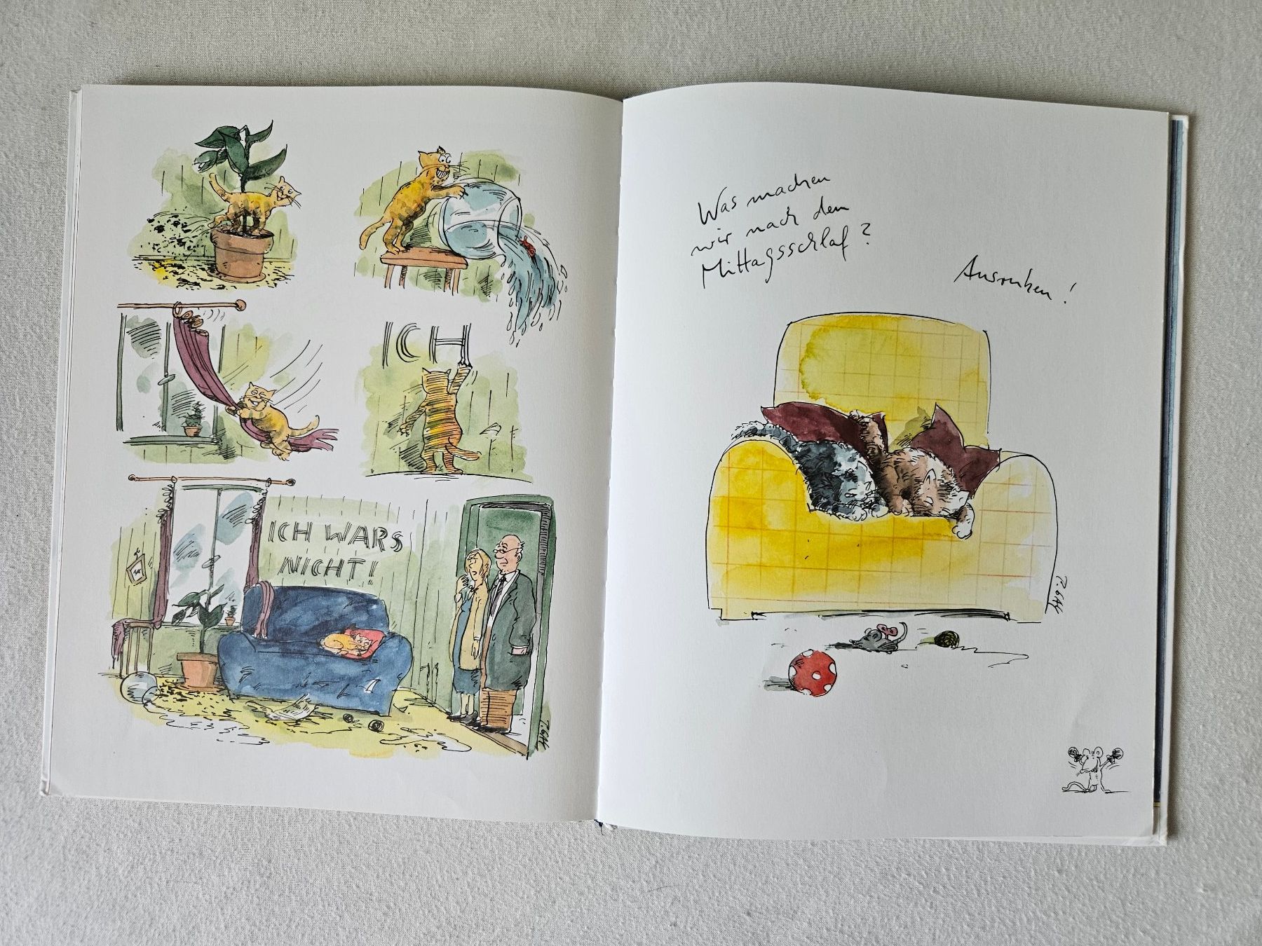 Libri: Buch Comic Katzen Peter Gaymanns – Usato da Unterengstringen venduto da saraman 2