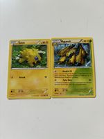 2 Pokémon Karten, Joltik und Mygavolt