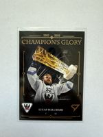 Sportzoo playoff champions glory Wallmark 